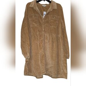 American Eagle Outfitters Tan Long Sleeve Dress